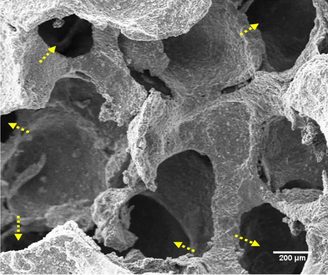 Bioceramics scaffold